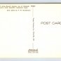 Rehoboth Beach Bayard Avenue Postcard (eCL276)