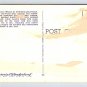 San Francisco California Fisherman's Wharf, Boats Fishing Fleet Postcard (eCL310)