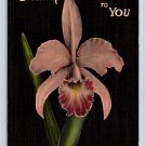 An Orchid to You from Florida 1943 Postcard (eCL344)