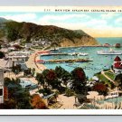 Catalina Island California Avalon Bay Postcard (eCL350)