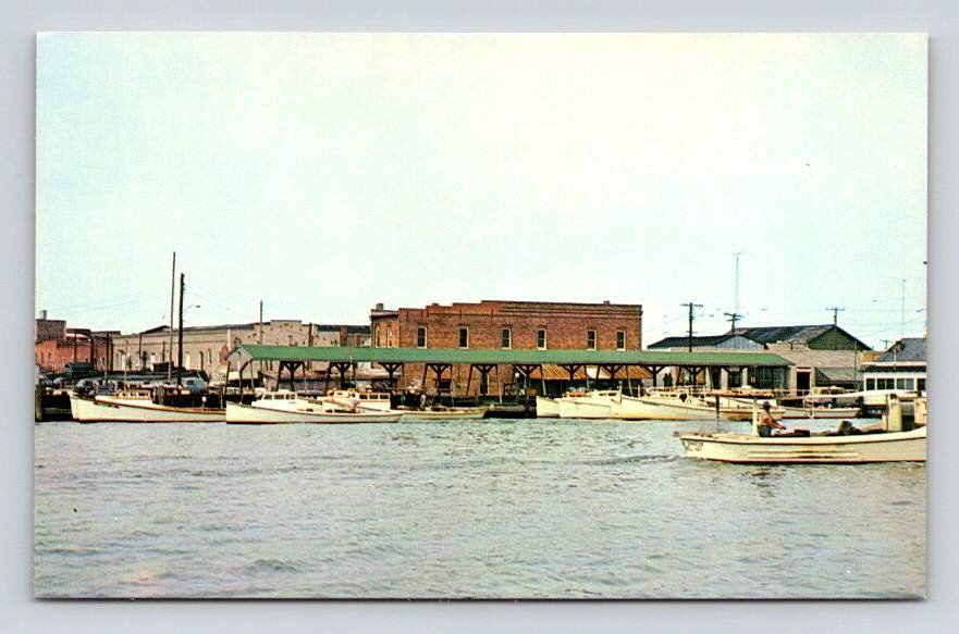 Crisfield Maryland Marina Postcard (eCL450)