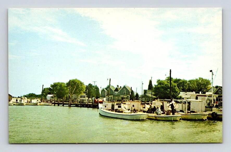 Smith Island Maryland Tylerton Harbor Postcard (eCL460)
