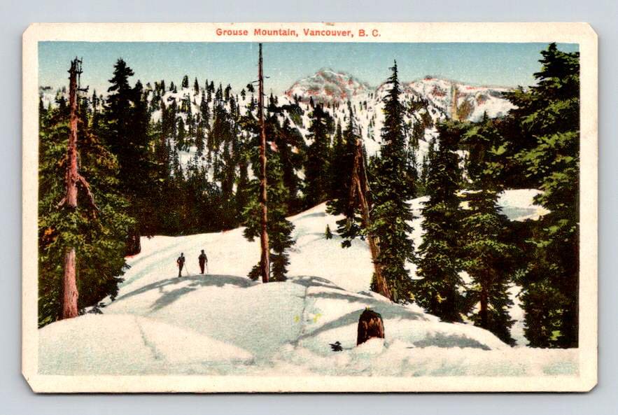 Vancouver British Columbia Canada Grouse Snowy Mountain Postcard (eCL548)