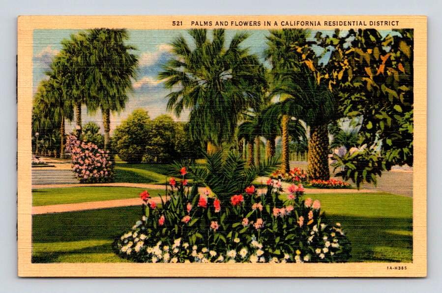 Residential District California Palms and Flowers Postcard (eCL690)