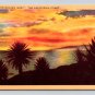 California Coast The Golden West Sunset, Palms & Yuccas Postcard (eCL692)