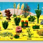Southwestern Desert Cacti and Flora Postcard (eCL794)