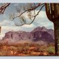 Arizona Superstition Mountain Saguaros Along Apache Trail Postcard (eCL796)