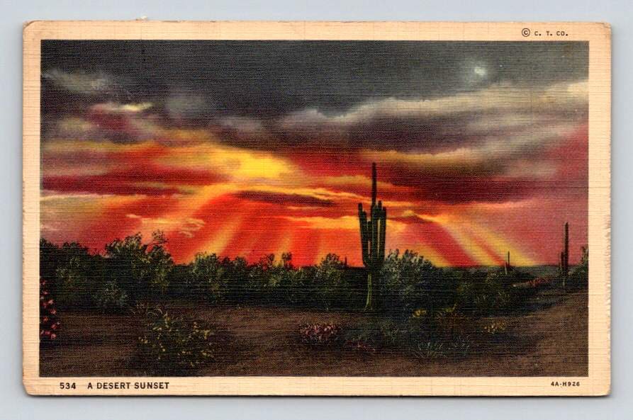 Saguaro A Dessert Sunset Postcard (eCL804)