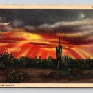 Saguaro A Dessert Sunset Postcard (eCL804)