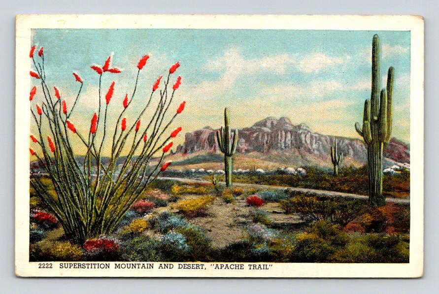 Arizona Superstition Mountain and Desert Apache Trail 1938 Postcard (eCL808)