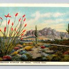Arizona Superstition Mountain and Desert Apache Trail 1938 Postcard (eCL808)