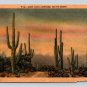 Dessert Cactus - Lot of 2 Postcards (eCL816)