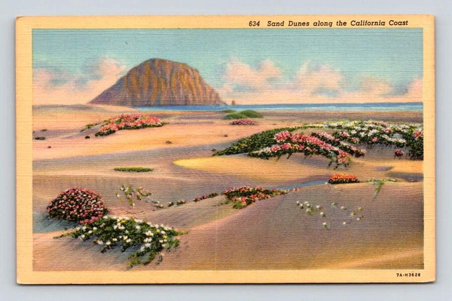 Sand Dunes along the California Coast Postcard (eCL822)