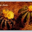 Phoenix Arizona Desert Botanical Gardens Papago Park Star Cactus Postcard (eCL826)