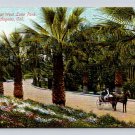 Los Angeles California Palm Drive West Lake Park Postcard (ecL854)