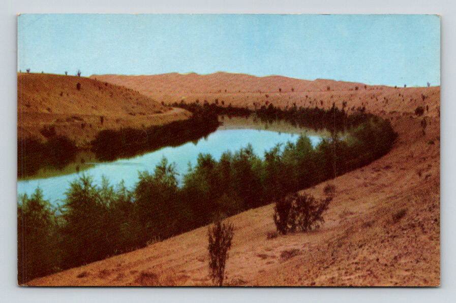 All American Canal Southeastern California CA Postcard (ecL974)