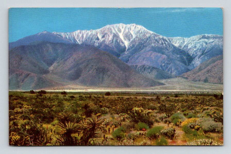 San Jacinto Mountain California CA Postcard (ecL976)
