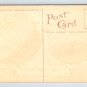 Exageration Bellflower Apples - Railroad Ed. H. Mitchell Postcard (ecL1086)