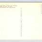 Moncton Magnetic Hill New Brunswick Canada Postcard (eCL1150)