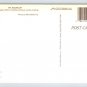 Oregon Mt. Bachelor Postcard (ContA-9)