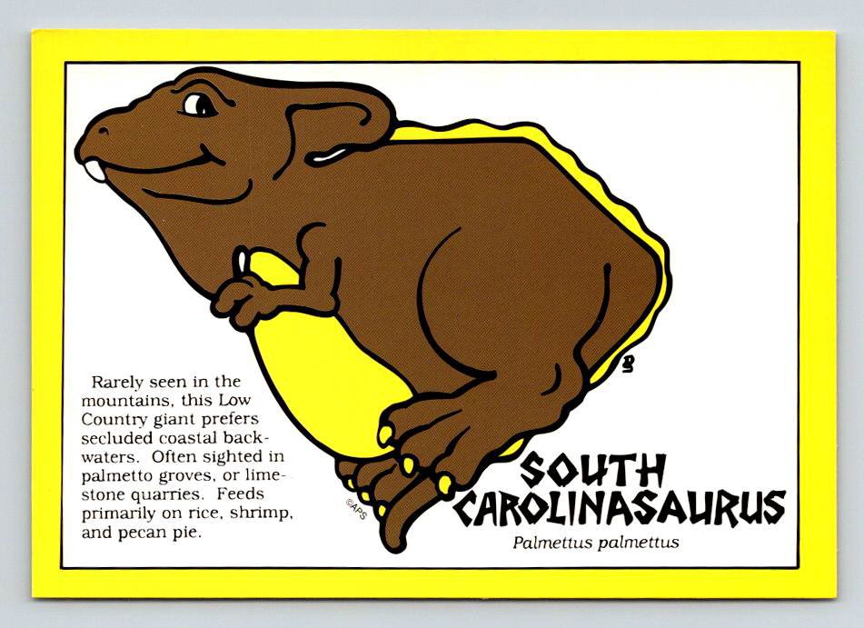South Carolina the Palmetto State Postcard (ContA-13)