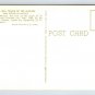 Bell Tower Mission San Diego de Alcala California Postcard (ecM35)