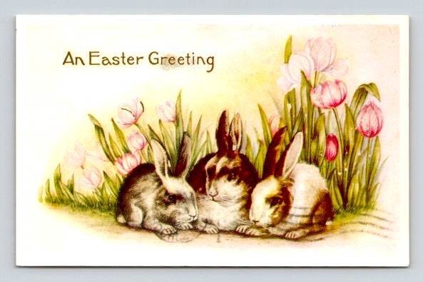 An Easter Greeting Bunny Rabbits - Vintage Reprint Postcard (ecM43)