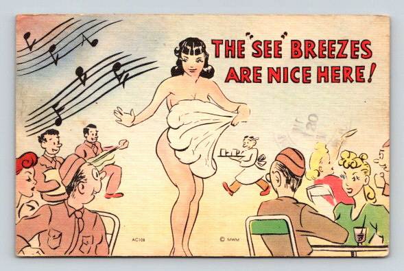 The SEE Breezes are Nice Here - Comic Risque Military 1943 Postcard (ecM195)