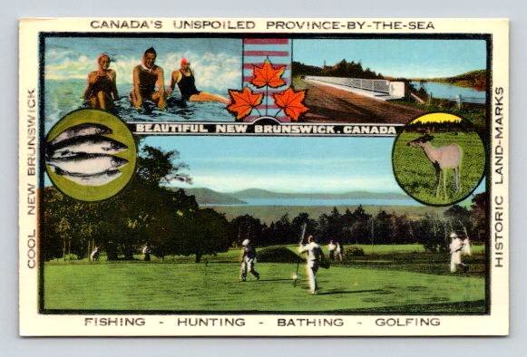 New Brunswick Advertising Multi View, Fishing, Hunting, Golfind Canada Postcard (ecM262}