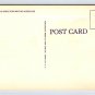 Brevard North Carolina Broad Street - Drugs, Amoco Gas Sign Postcard (ecM270)