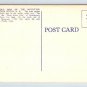 Old Man of the Mountain New Hampshire Daniel Webster Postcard (ecM284)