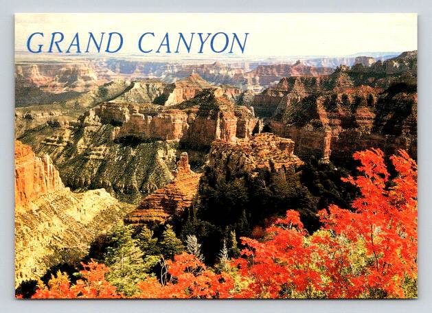 North Rim Arizona Grand Canyon National Park Postcard (ContA-571)