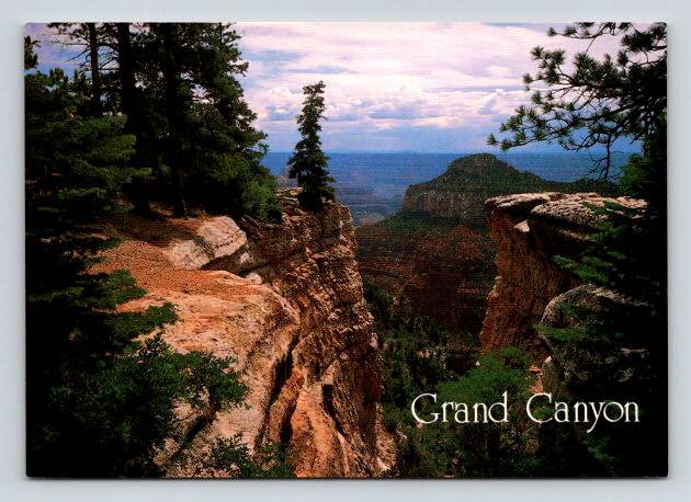 North Rim Arizona Grand Canyon National Park Postcard (ContA-573)