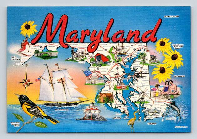 Maryland Map Postcard - State Bird Baltimore Oriole (ContA-685)