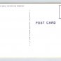 It's the Little Things that Count - Bed Bugs, Comic Postcard (N611)