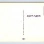 Held Up Here for a Short Time Paratrooper Vintage Postcard Military Humor WWII (N889)