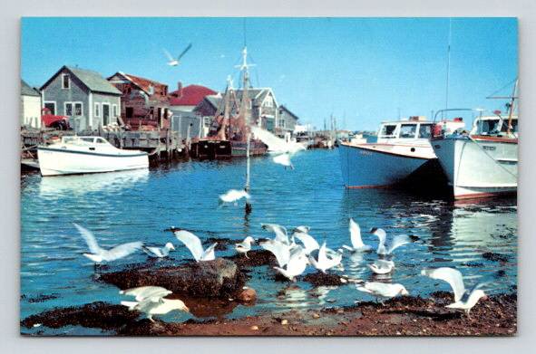 Menemsha Martha's Vineyard Massachusetts Harbor Postcard (O-81)