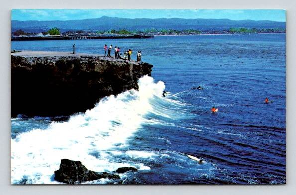 Santa Cruz California Surfing with Boardwalk in Background Postcard (O-87)