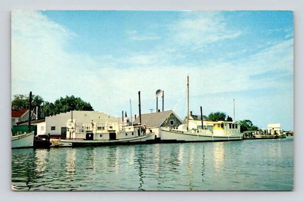 Smith Island Maryland Harbor at Ewell, Boats, Dock Postcard (O-890)