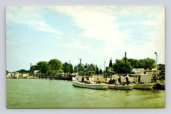 Smith Island Maryland Greetings from Tylerton - Boats, Dock Postcard (O-892)