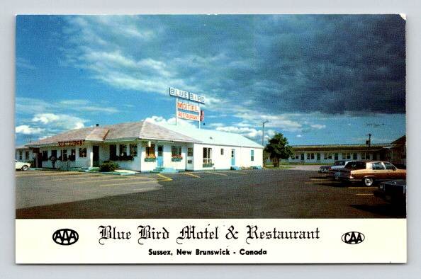 Sussex New Brunswick Canada Blue Bird Motel & Restaurant Postcard (O-972)
