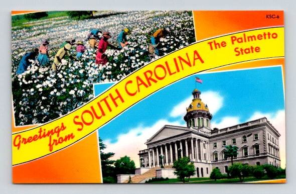 Greetings  From South Carolina, The Palmetto State - Banner Postcard (P-141)