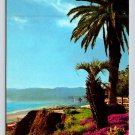 Santa Monica California  Pacific Palisades Park - Continental Postcard (ContB-359)