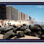 Ocean City Maryland Beach - Pre Barcode Continental Postcard (ContB-449)