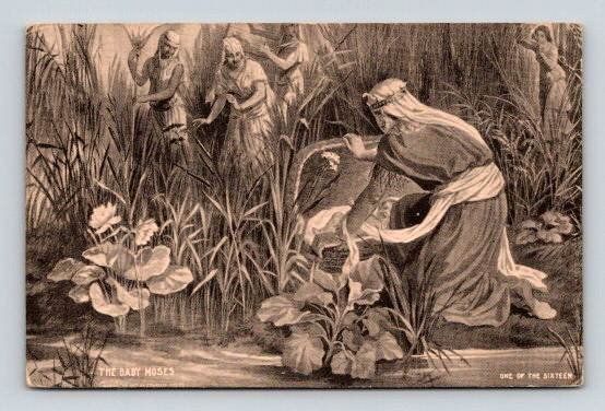 Religious -The Baby Moses in A Basket Hidden in the Bulrushes Postcard 1912 (P-515)
