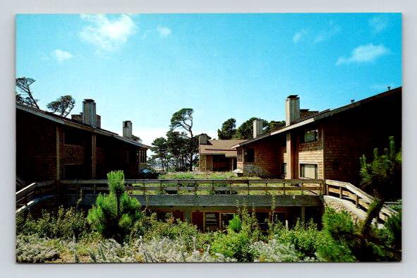 Pacific Grove California Asilomar Conference Grounds East Garden Postcard (R-673)
