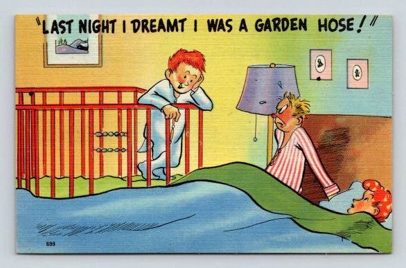 Last Night I Dreamnt I Was a Garden Hose - Comic Postcard (R-801)