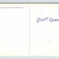 Last Night I Dreamnt I Was a Garden Hose - Comic Postcard (R-801)