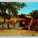 Texas Rangers Nooday Camp Scene, Horses, Saddles, Guns Postcard (R-829)