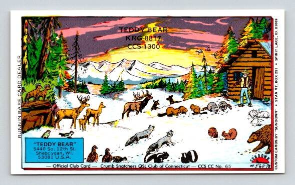 Sheboygan Wisconsin Teddy Bear SQL Postcard (S-363)